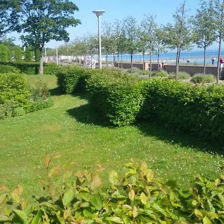 Apartment Mia Whg 2 Mit Terrasse, Eg 1 Raum *